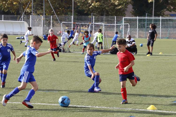 Des jeunes joueurs de football en pleine action sur un terrain ensoleillé, avec plusieurs enfants en maillots bleus et rouges courant après le ballon.